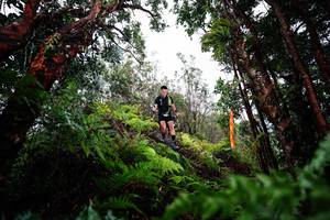 BIB: 
                            <button type="button" onclick="openModal(26204247)" class="btn btn-primary btn-sm float-right btn-popup" data-toggle="modal" data-target=".modal-high-quality">
                        <i class="fas fa-shopping-cart"></i> Add to Cart
                    </button>
                                            <button type="button" onclick="isThisMe(26204247, true)" class="btn btn-success btn-sm float-right btn-popup btn-isme hidden" data-toggle="tooltip" data-placement="bottom" title="นี่คือรูปของคุณใช่ไหม คลิกที่นี่เพื่อเอาเข้าอัลบั้ม">
                        <i class="fas fa-plus"></i> Add to album
                    </button>
                    <button type="button" onclick="isThisMe(26204247, false)" class="btn btn-warning btn-sm float-right btn-popup btn-isnotme hidden">
                        <i class="fas fa-ban"></i> Remove from album
                    </button>